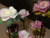 DSCN5884.JPG